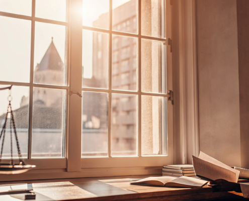 Woman researching if she can file a partition lawsuit without a lawyer.
